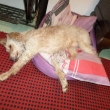 12.2.15 to je blaho ! m�s�c a kousek u n�s