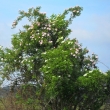 ��pkov� r��i�ky 9.6.2011