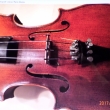Housle vyroben� v Merboltic�ch v roce 1923 Stefanem Storchem