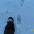 18.1.12, tohle musel b�t divo��k jako stodola !