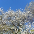 27.4.12 t�e�e�