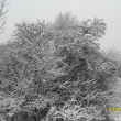 23.1.12, sn�hov� kr�lovstv�
