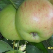Bl��� se podzim, 22.8.2011