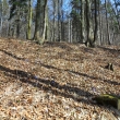 Podl�ky 22.3.2011