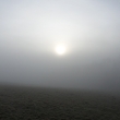 24.2.2015, dnes rno je mlha, ale slunko bude