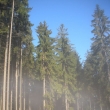 podzimn� r�no v lese, Zaje�� vrch