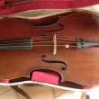 Violoncello od Stefana Storcha z Mertendorfu.