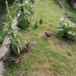 R�no b�� na sn�dani 17.7.14
