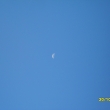 R�no 8.50 hod., M�s�c na jedn� a Slunce na druh� stran� jasn� oblohy