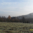 Pastvina rozryt� od divo��k� 14.11.2011, 8.30 hod.