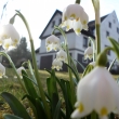 N� d�m na ja�e 2015 (17.3.2015)