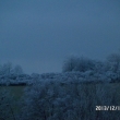 namrzaj�c� mlha na stromech- kr�sn� pohled 14.12.13