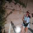 Alej beran�ch sfing (Karnak)