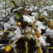 Zima se nechce vzd�t, 1.4.12