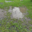 Kalu�e t�m�� nevysychaj�, ka�d� den (nebo noc) pr��, 10.7.11