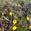 Podb�l, 24.3.12