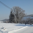 Pam�tn� strom dub letn� roste na zahrad� u �p. 22 na horn�m konci obce