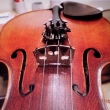 Housle vyroben� v Merboltic�ch  v roce 1923 Stefanem Storchem