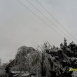 V�tve se pod t�hou sn�hu oh�baj� a� na zem